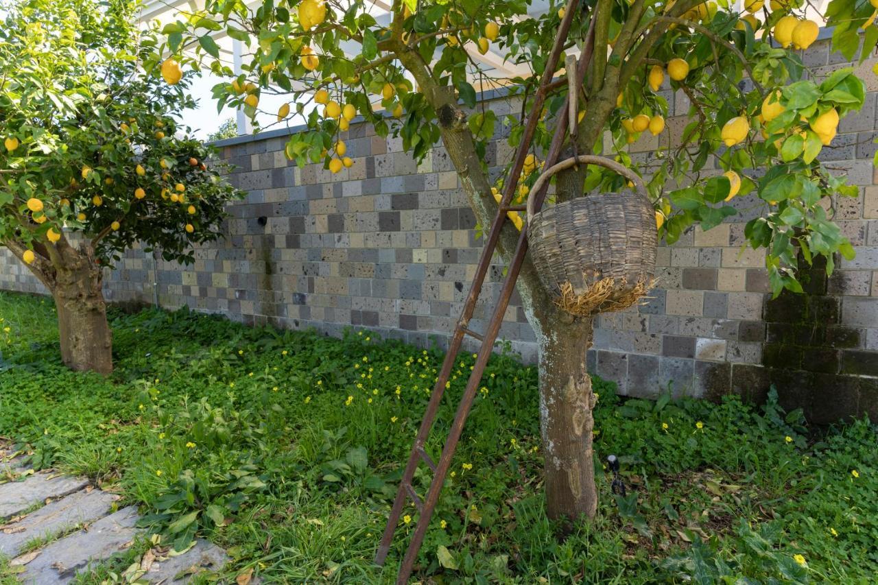 Tenuta Di Leva Piano di Sorrento Exterior photo